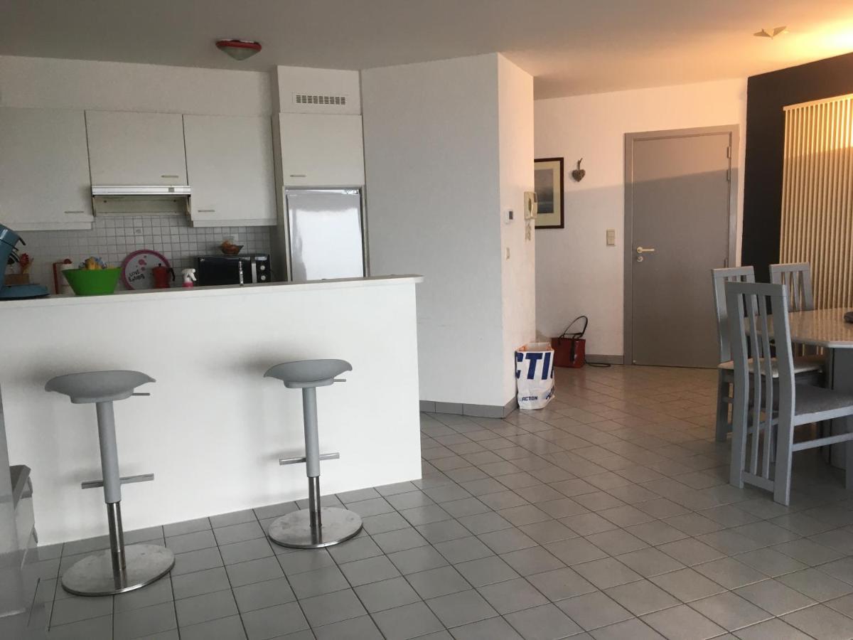 Appartement Spacieux Vue Sur Mer 블랑켄베르크 외부 사진