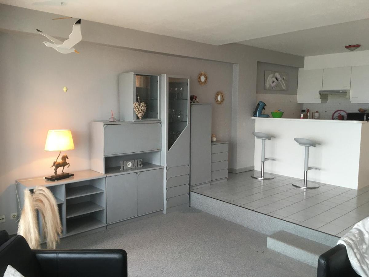 Appartement Spacieux Vue Sur Mer 블랑켄베르크 외부 사진
